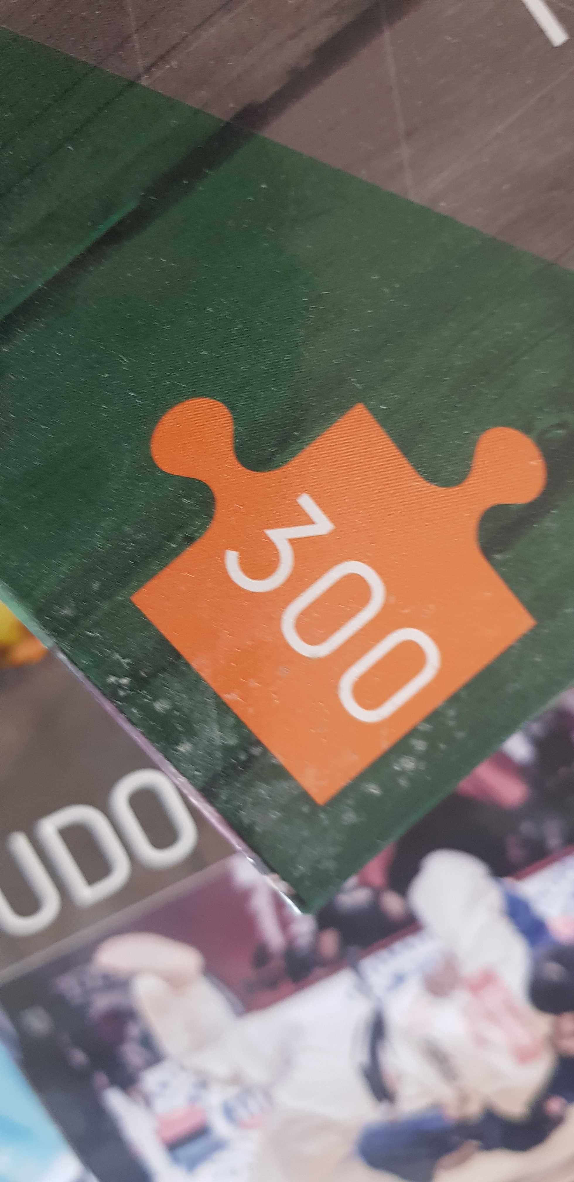 Puzzle 300 elementów judo