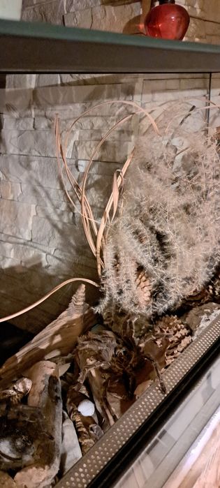 Terrarium 75x40x25cm