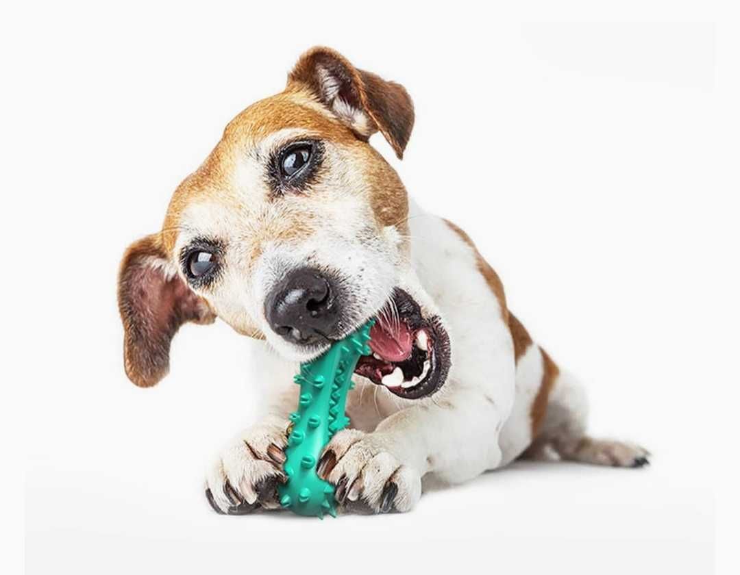Іграшкова гумова кістка для собак, чищення зубів
