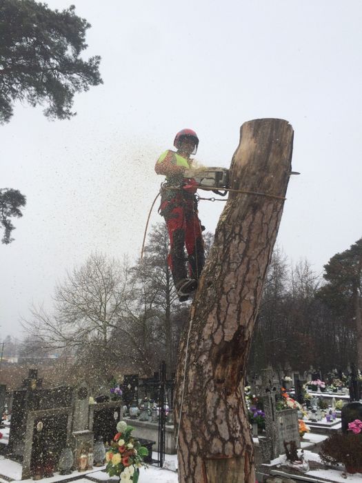 WYCINKA i pielęgnacja DRZEW alpinistycznie ARBORYSTA rębak frezowanie