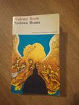 Tadeusz Breza, Spiżowa brama
