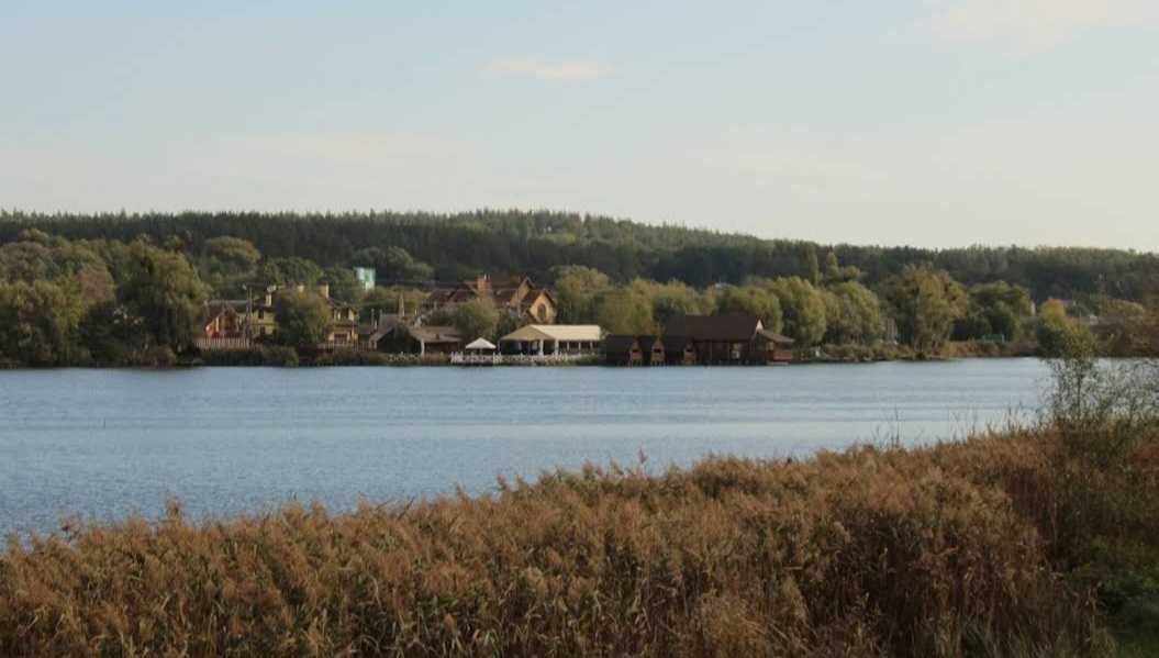 Віта поштова, район  Глейки. вул. Ярослава Мудрого. 15 соток  в лісі.