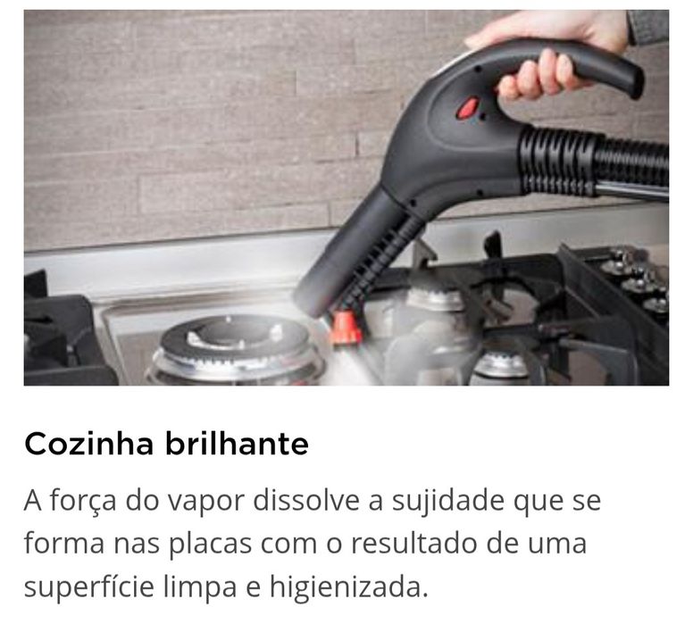 Polti Vaporetto Lecoaspira FAV30