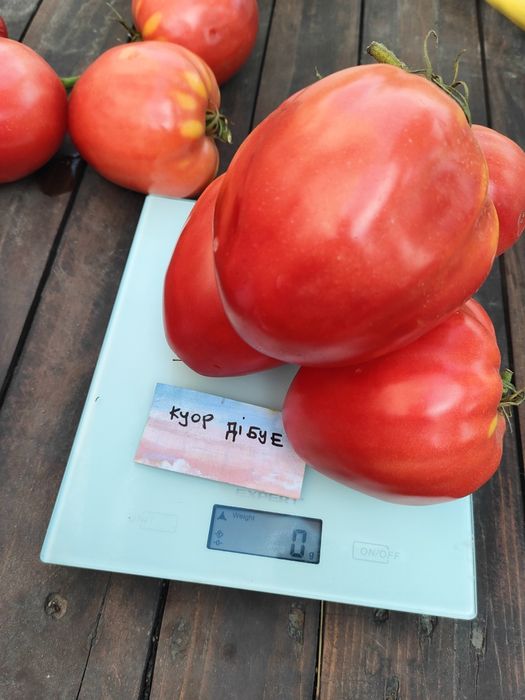 Набір колекційного насіння томатів " Калейдоскоп"