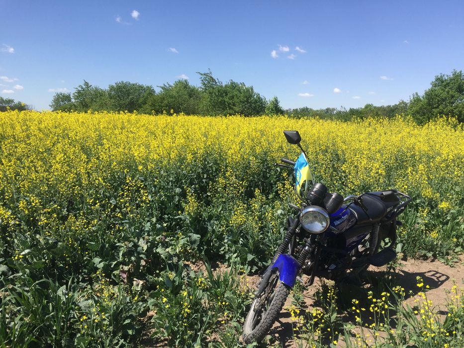 Mustang125 в хорошому стані