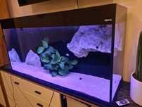 Akwarium aquael glossy moduly BTM