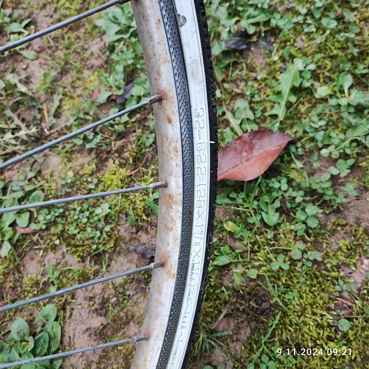 Rower damka i męski