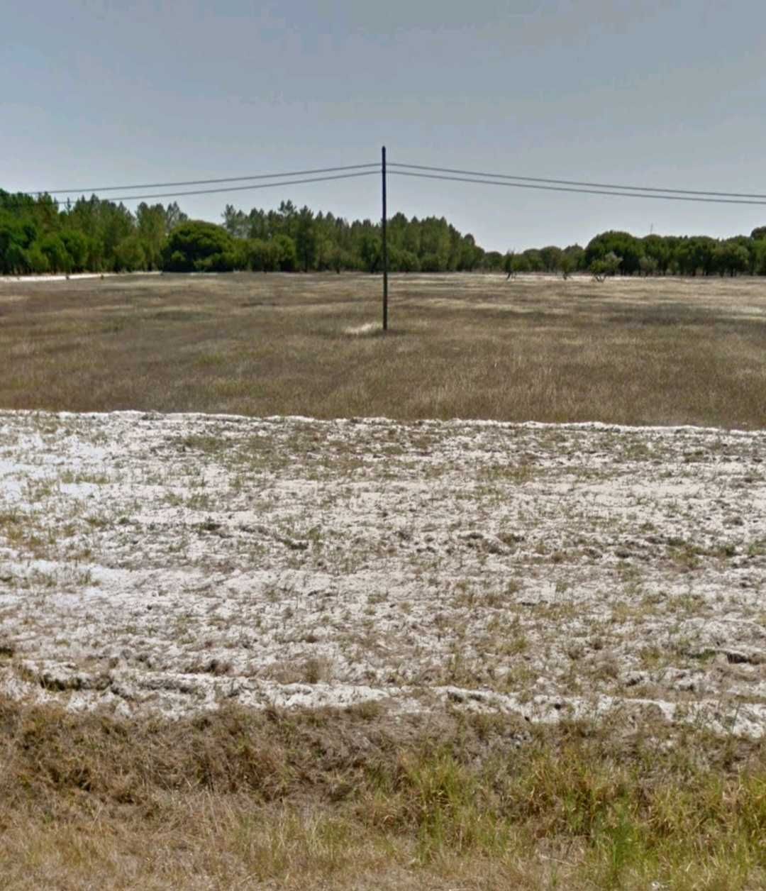 Terreno Rústico de 9 hectares em Grândola