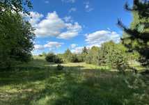 Duża, piękna działka 5900m2 - Lipiny