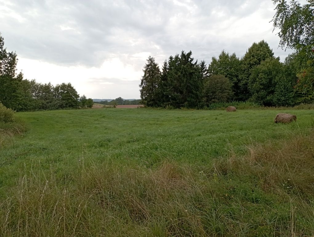 Sprzedam działkę