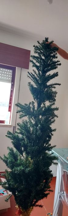 Árvore de natal em perfeito estado
