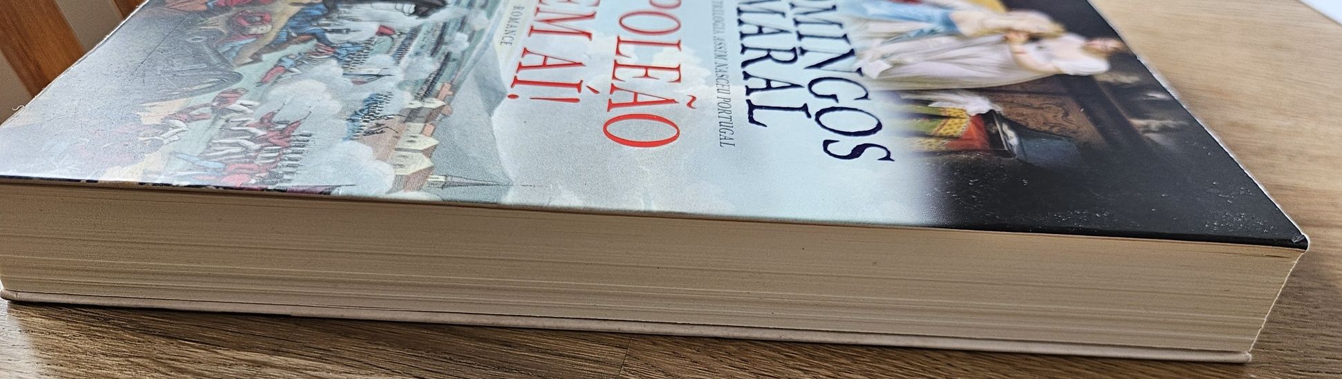 Livro "Napoleão vem aí!"