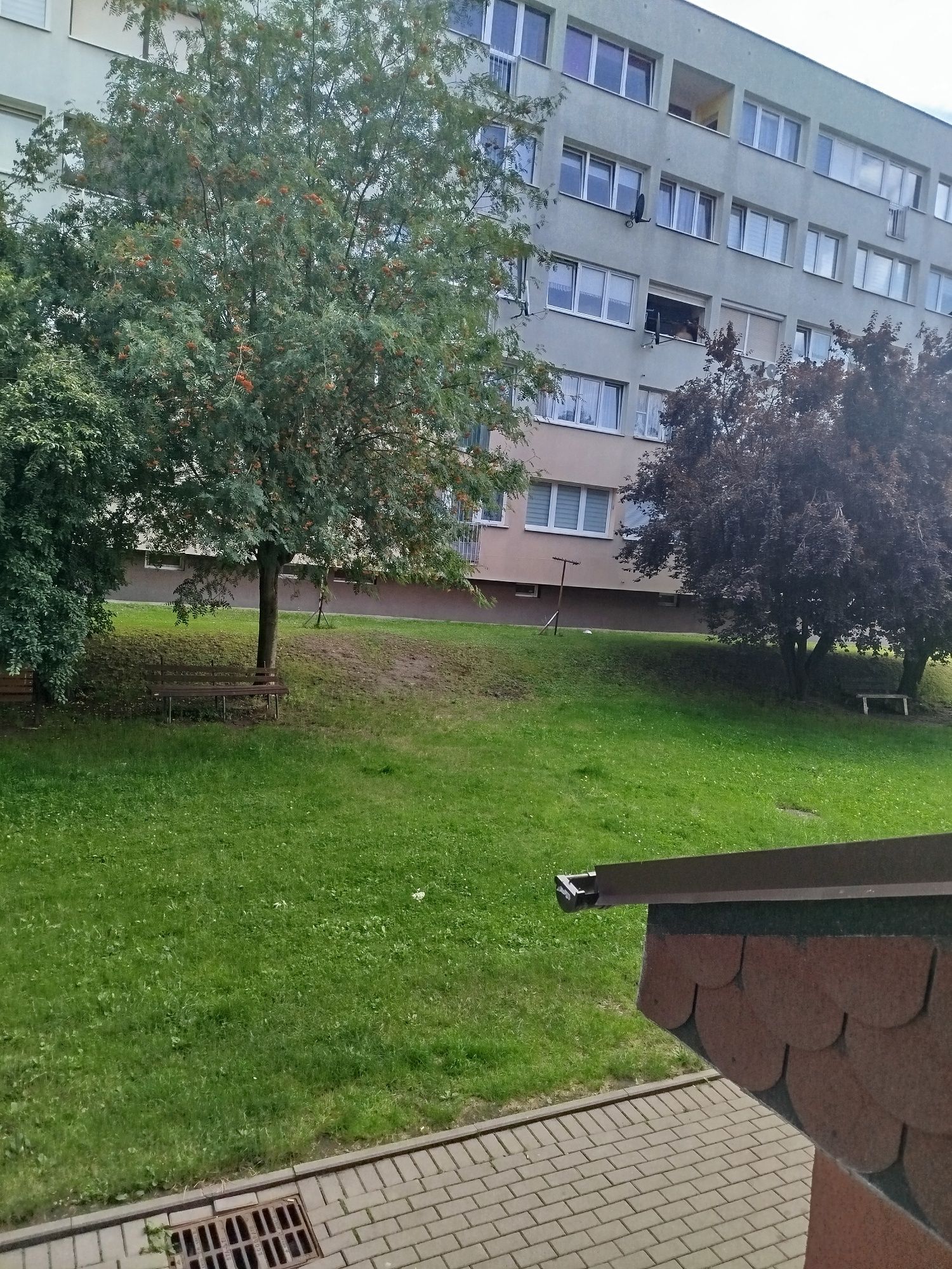 Mieszkanie pater. Orła Białego