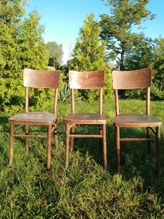 Krzesła Fameg Radomsko