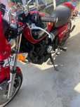 Triumph Thunderbird