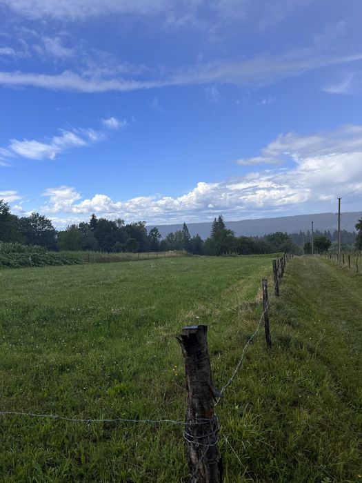 Довгострокова оренда будинку і зем. ділянка 1 Га с/г призн.