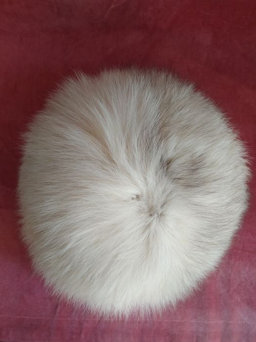 Czapka damska z lisa