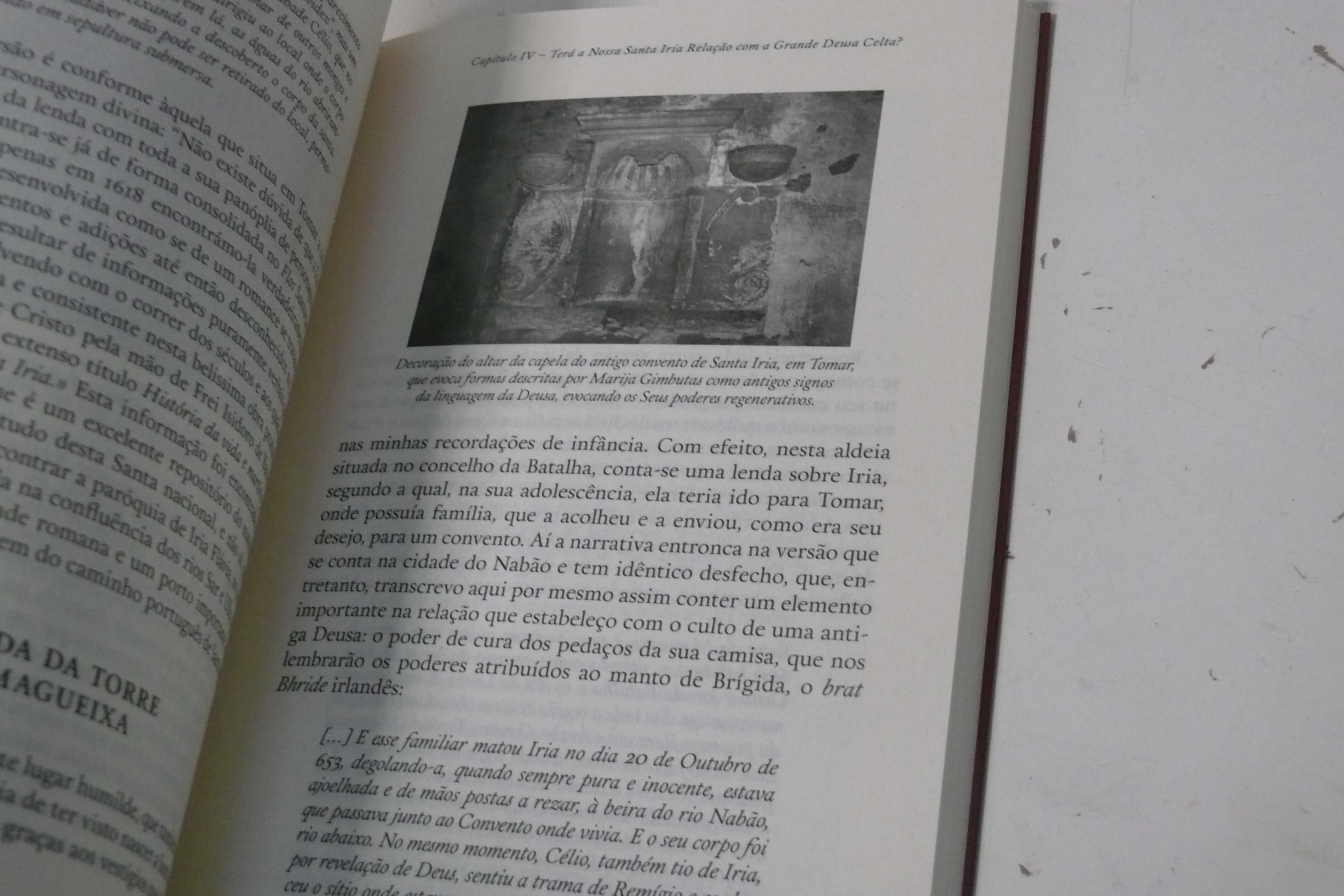 Livro - A Deusa Celta de Portugal