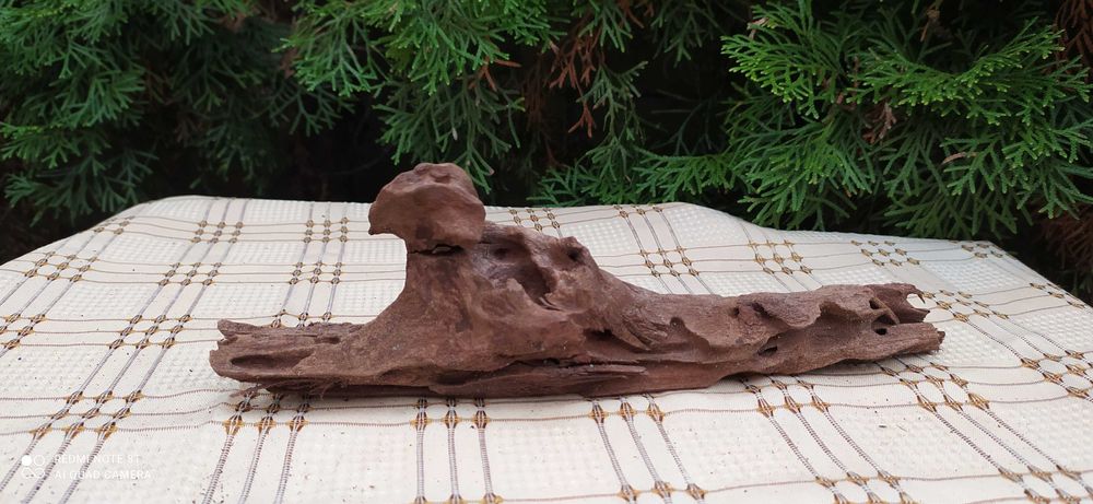 Korzeń do akwarium-27 cm