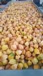 Fruta Physalis..