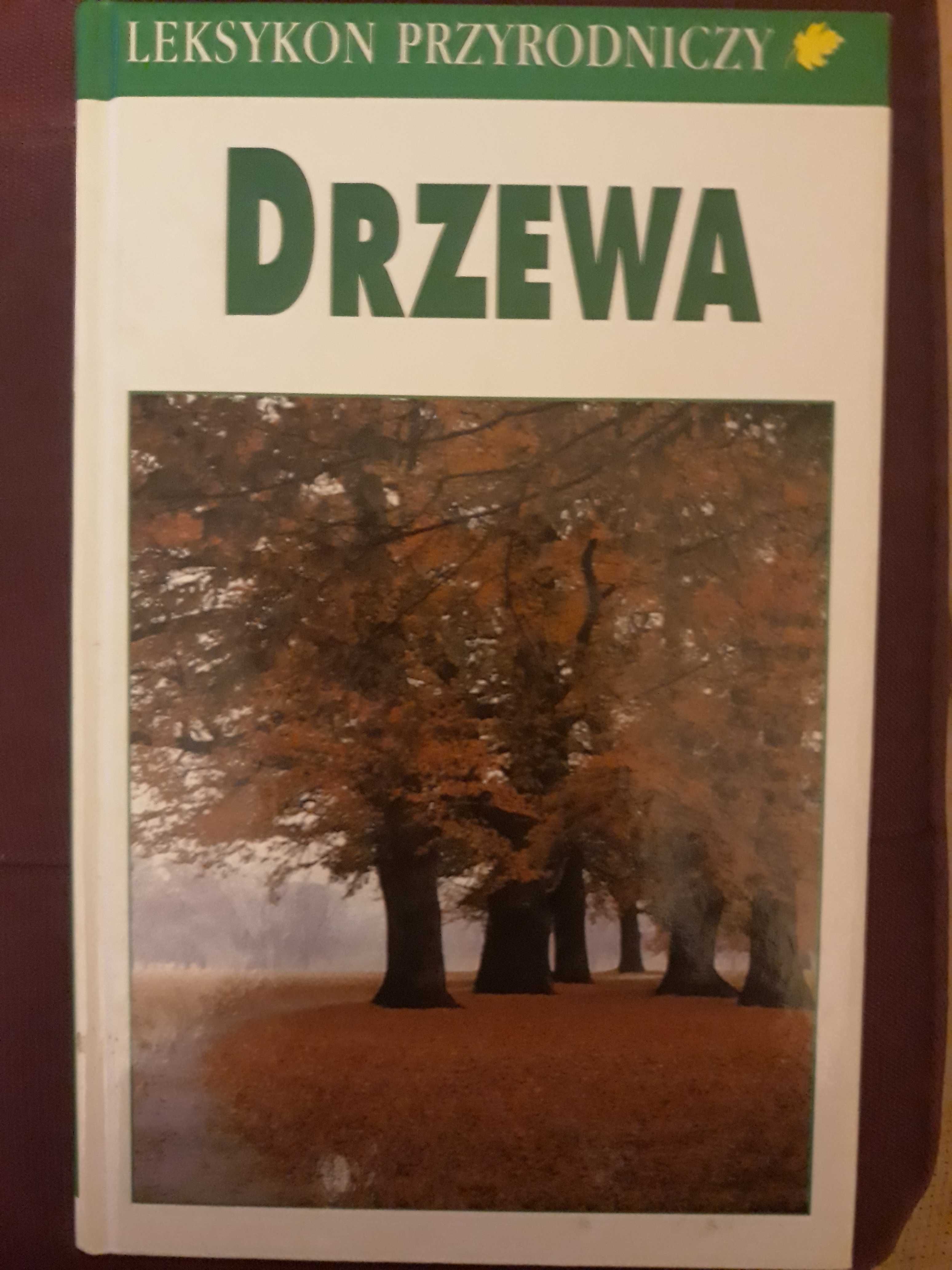 Leksykon przyrodniczy drzewa Bruno Kremer