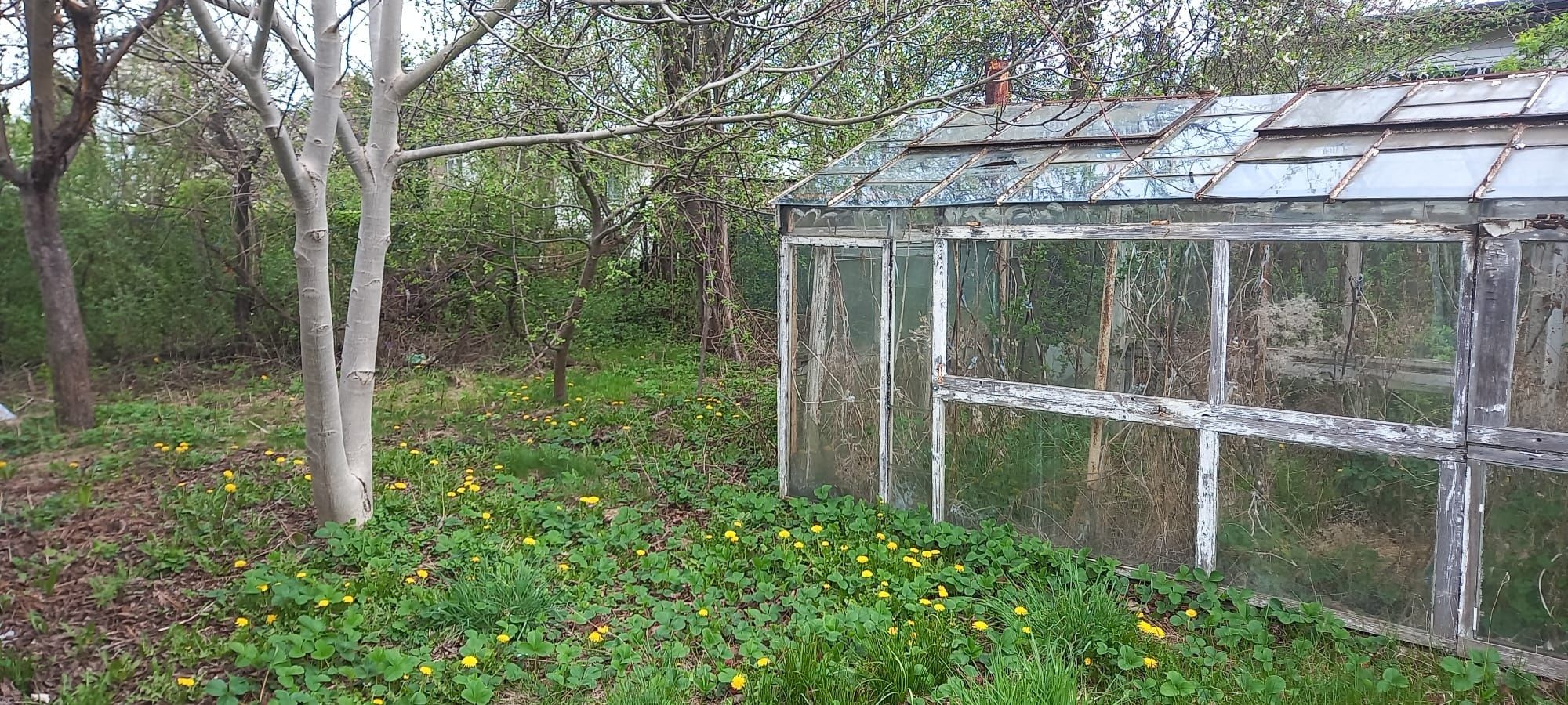 Działka ROD, domek i szklarnia - Częstochowa