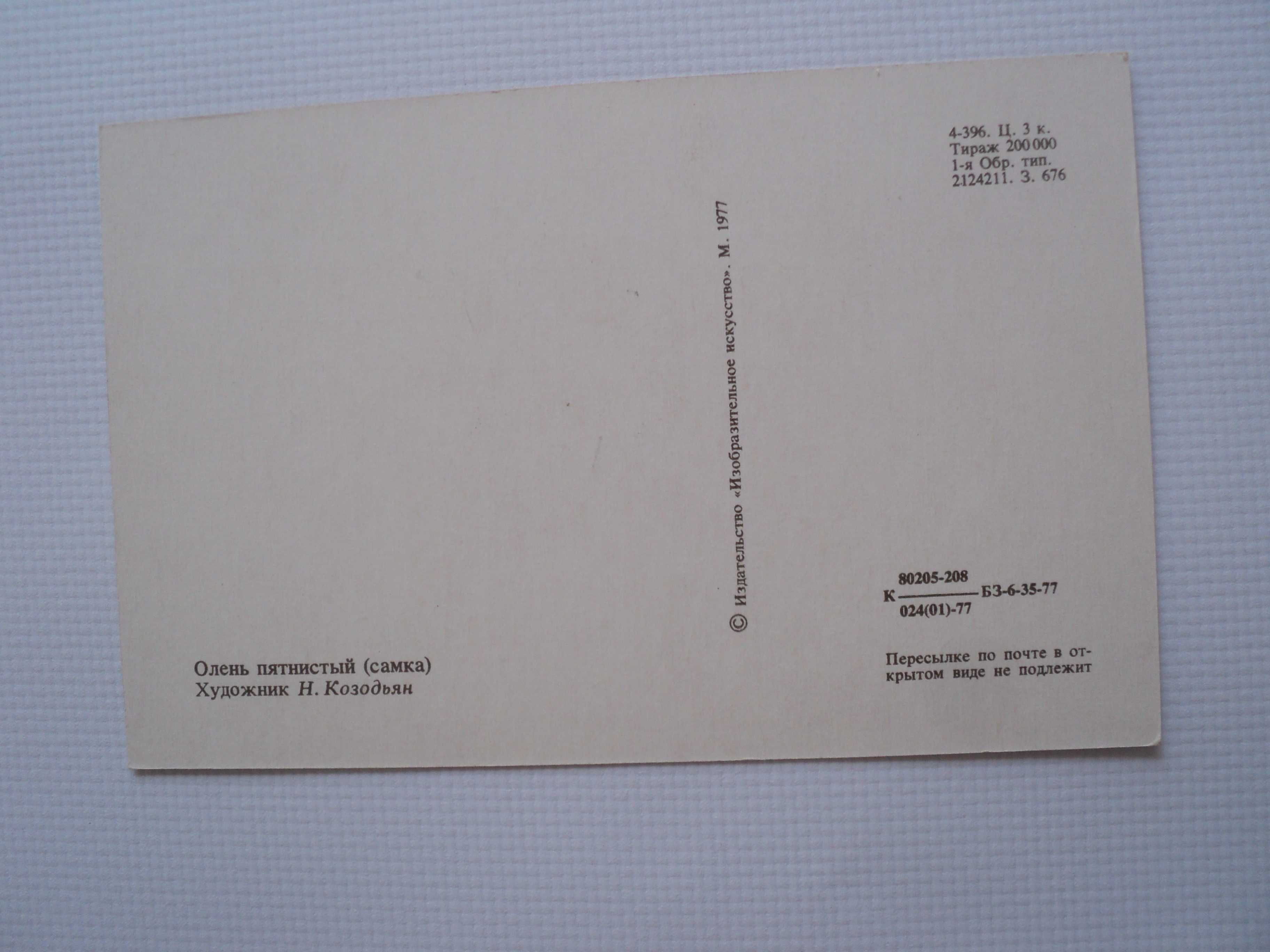 открытка СССР Козодьян Анималистика 1977 Лев Тигр Олень Зебра Антилопа