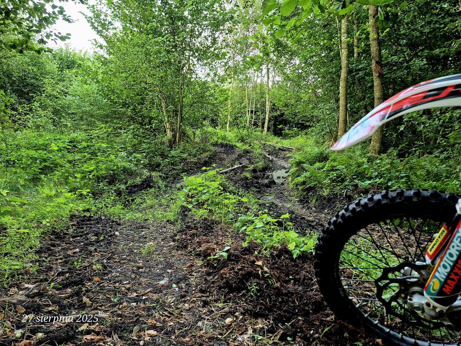 Beta 300 rr bez wkladu /  zarejestrowany