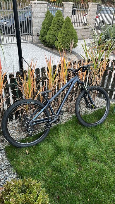 Rower Dartmoor street fighter