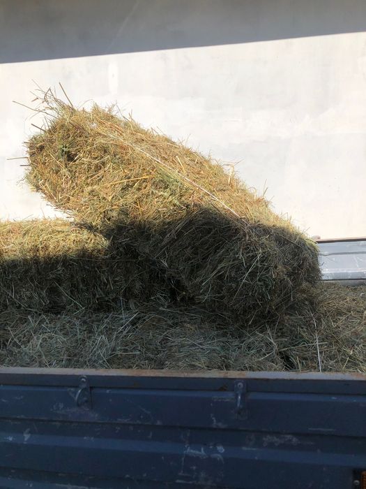 Продам тюки сіна