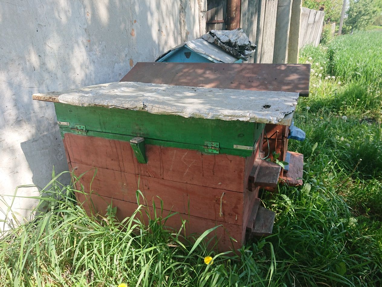 Продаж вуликів, в наявності 5