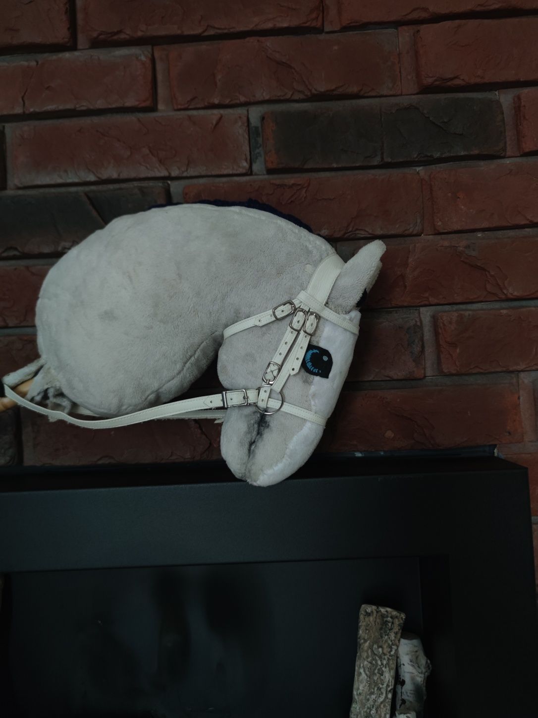 Hobby horse ujeżdżeniowy unikatowy