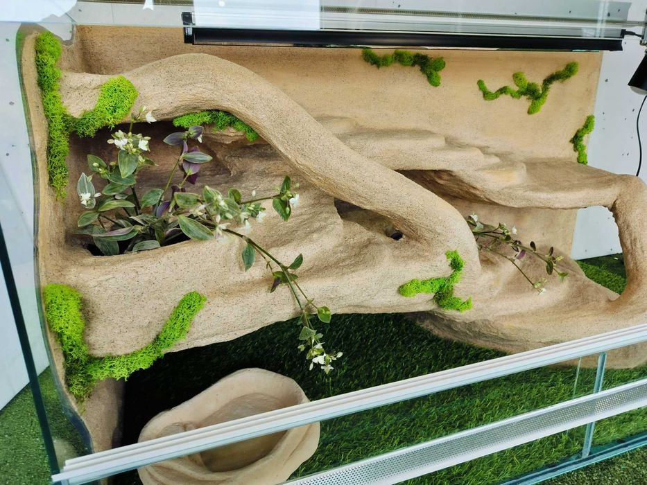 Terrarium dla agamy brodatej  z lampami i roślinami TW04P2A, AquaWaves
