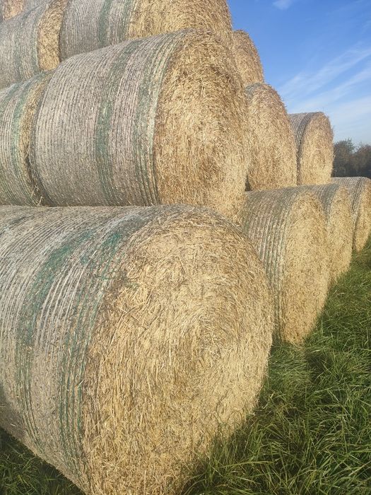 Sprzedam słomę jęczmienną 160cm