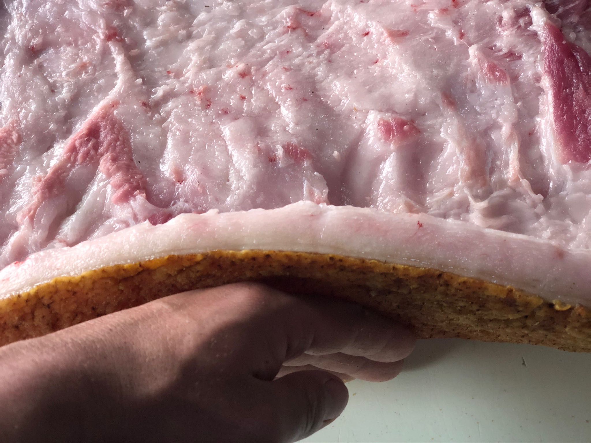 Продам свіже м‘ясо-сало свинины (боём в тушах) Охлажденое
