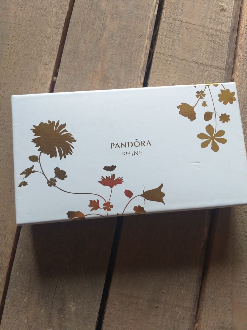 Pandora. Защитная цепочка