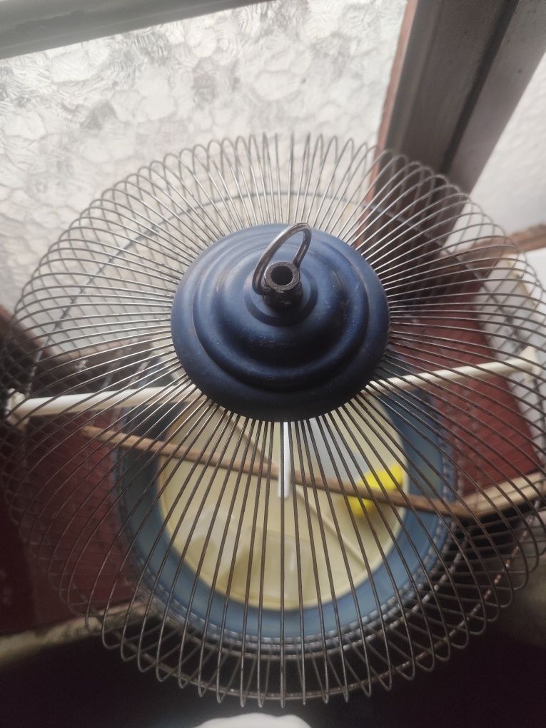 Gaiola para pássaro com acessórios