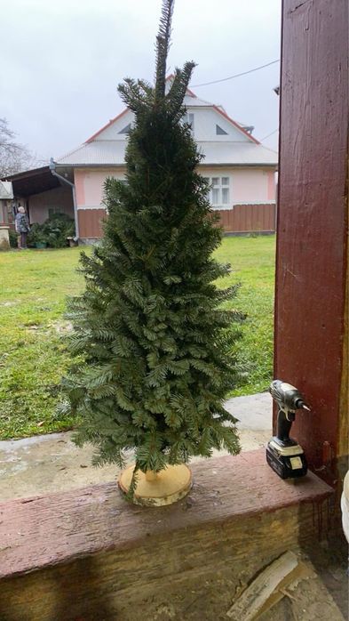 Продаю новорічні ялинки