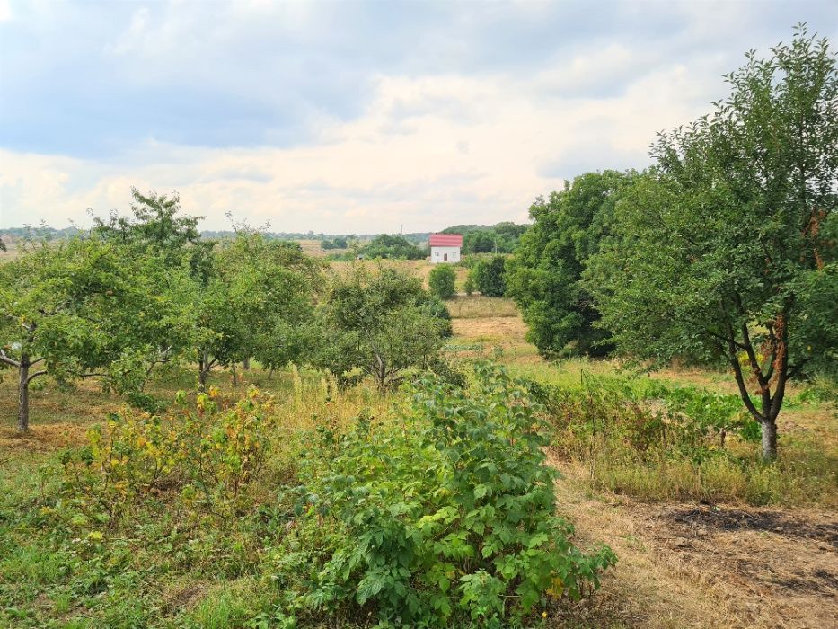 Продам велику ділянку з копанкою у Зарванці (біля Вінниці)