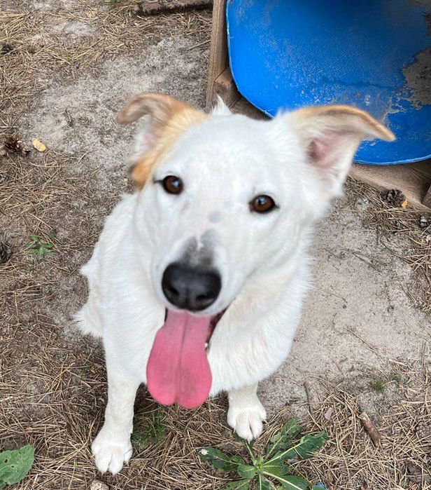 Белла шукає свою родину