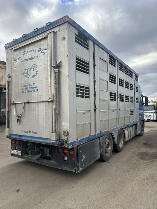 Перевезення свиней, поросят і овець.