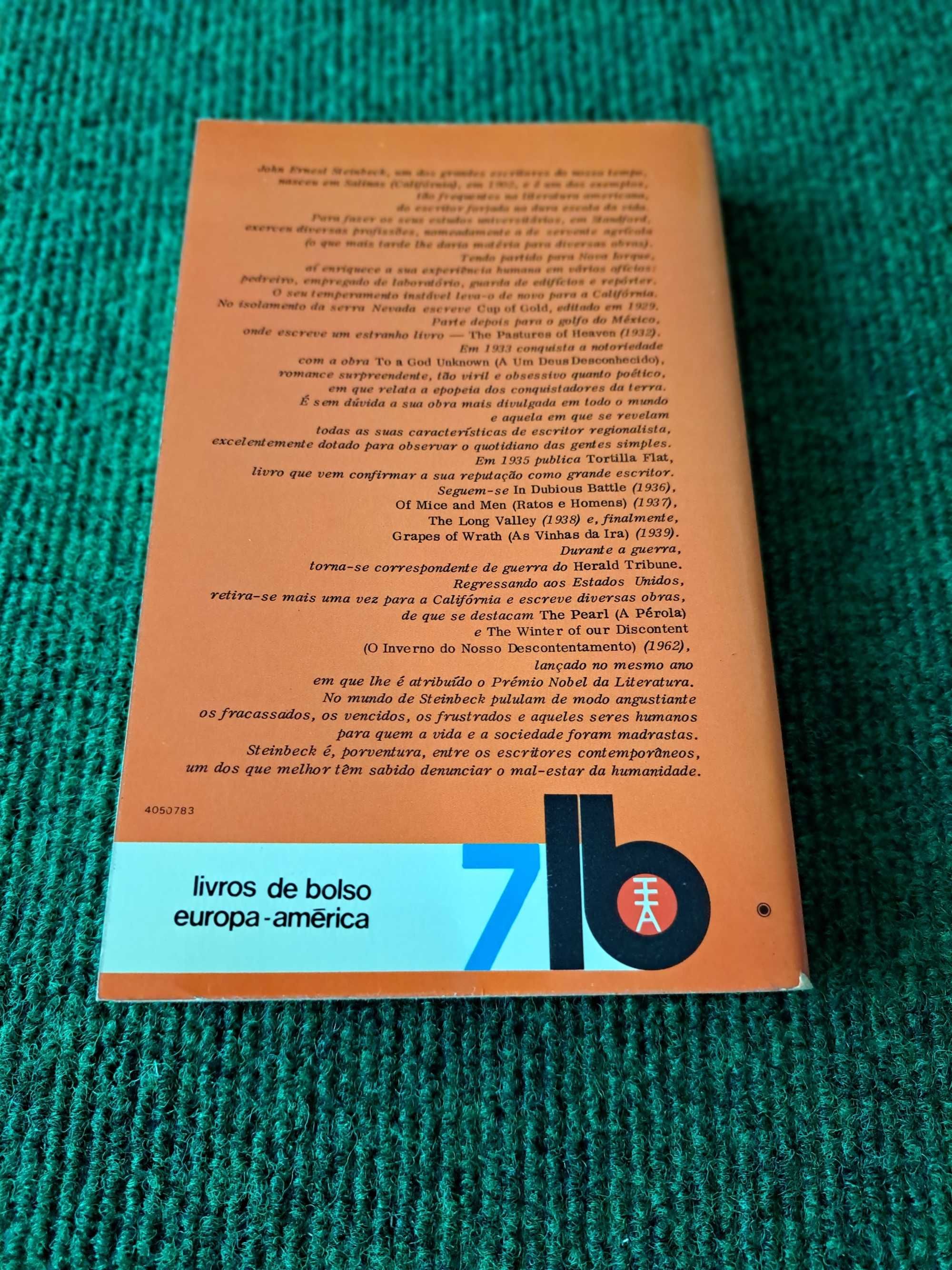 A Um Deus Desconhecido - John Steinbeck