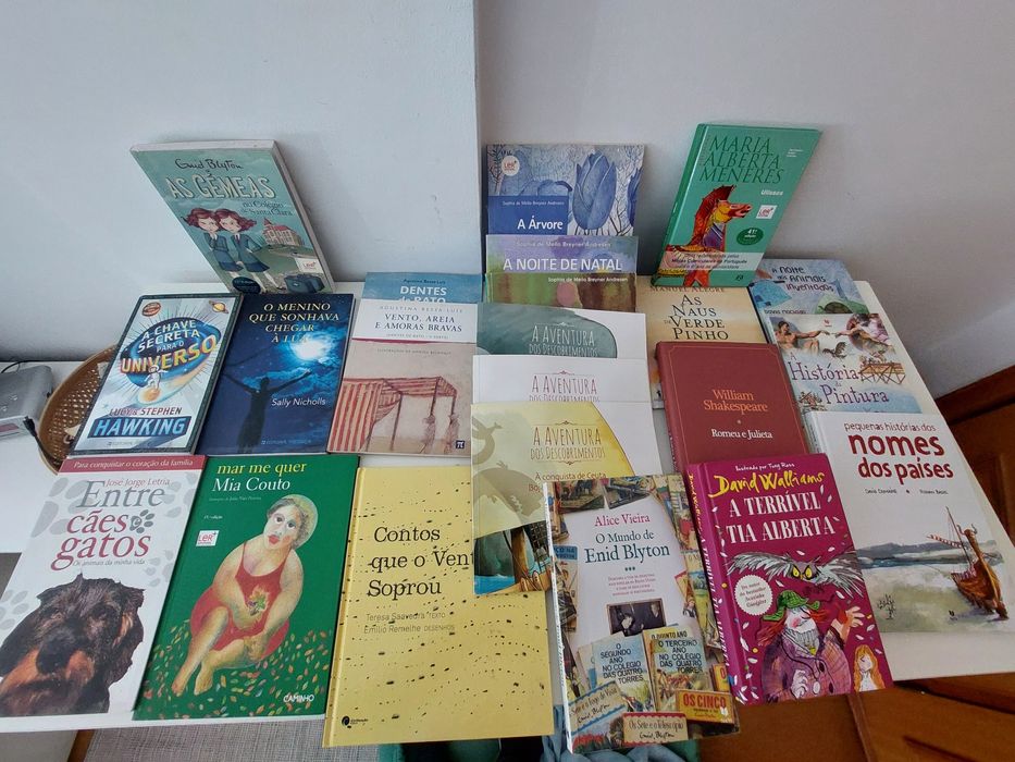 Lote Varios Livros juvenis