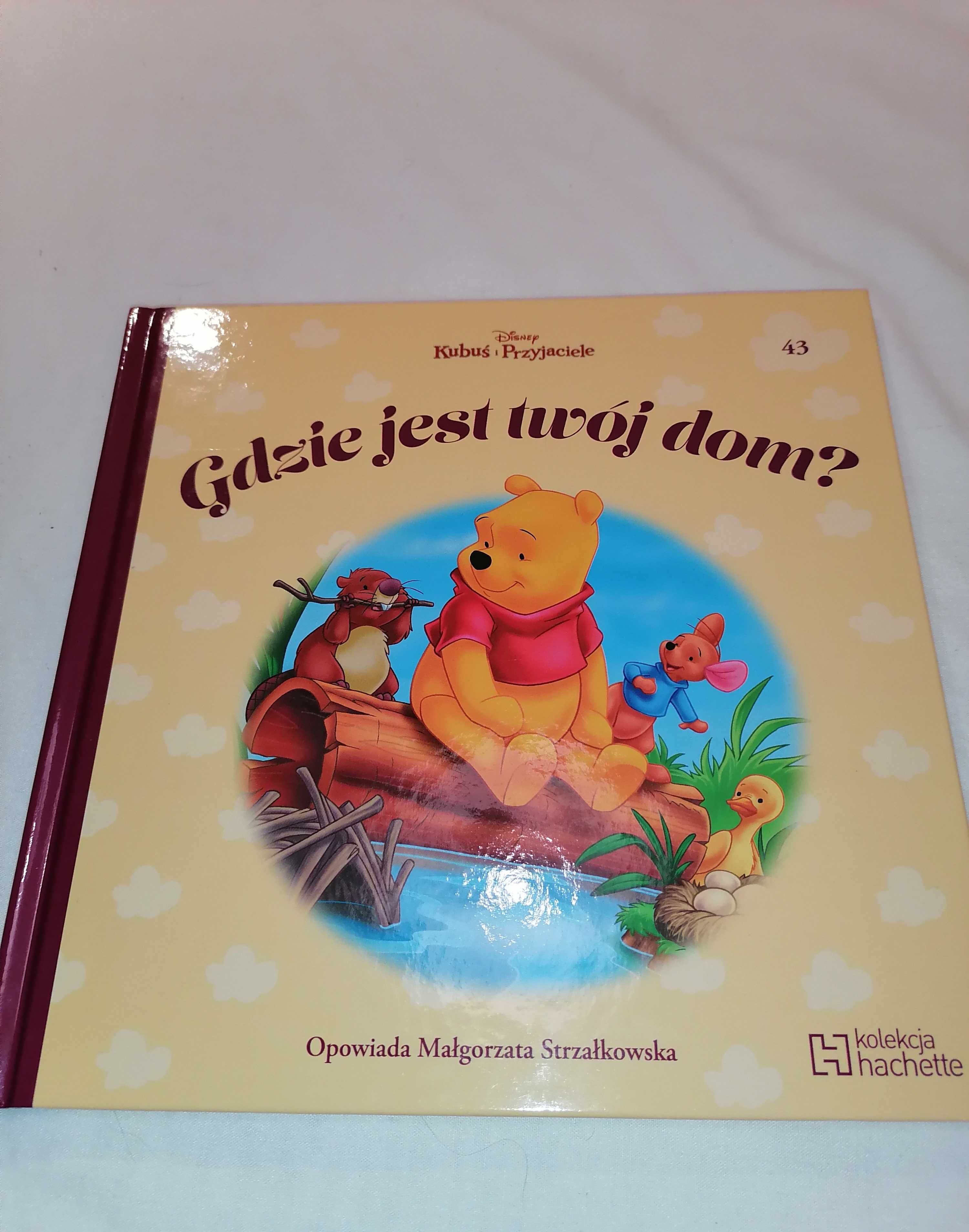 Kubuś i Przyjaciele Gdzie jest twój dom? (tom 43)