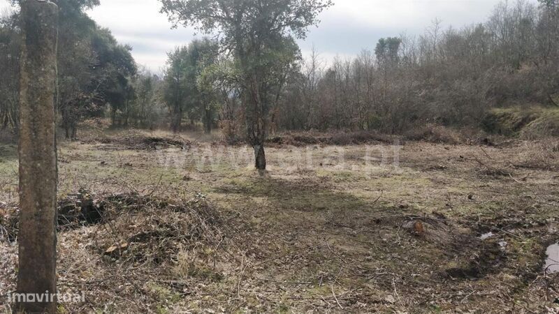 Terreno Rústico / Fundão, Pêro Viseu