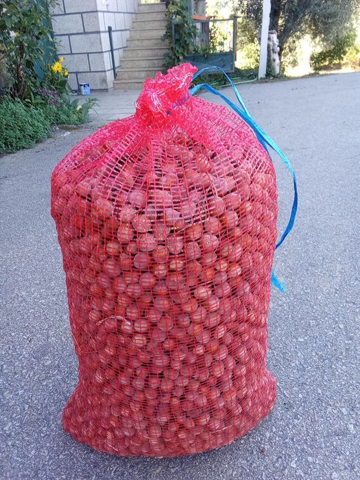 Venda de Avelãs .