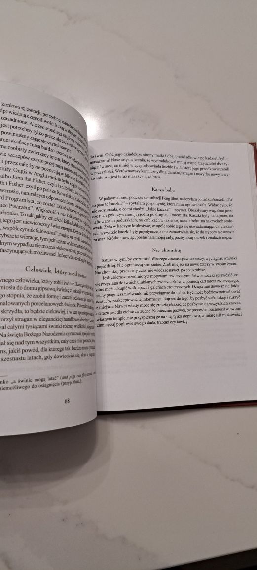 Feng Shui Jak pozbyć się bałaganu ze swojego życia - Karen Kingston