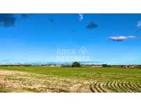 Terreno de 31250 m2 (3 ha) - Faias (Palmela)