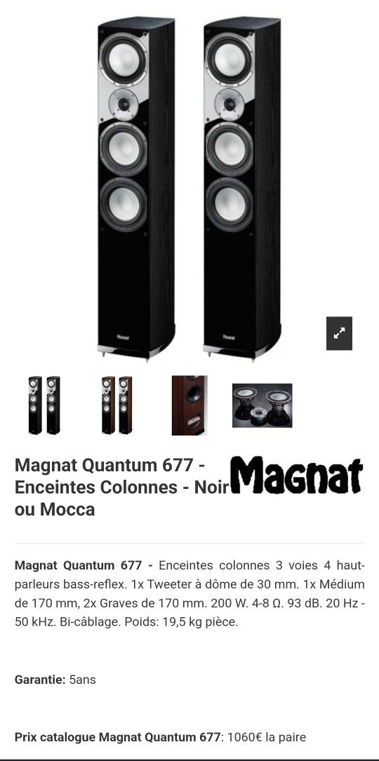 Magnat Quantum 677