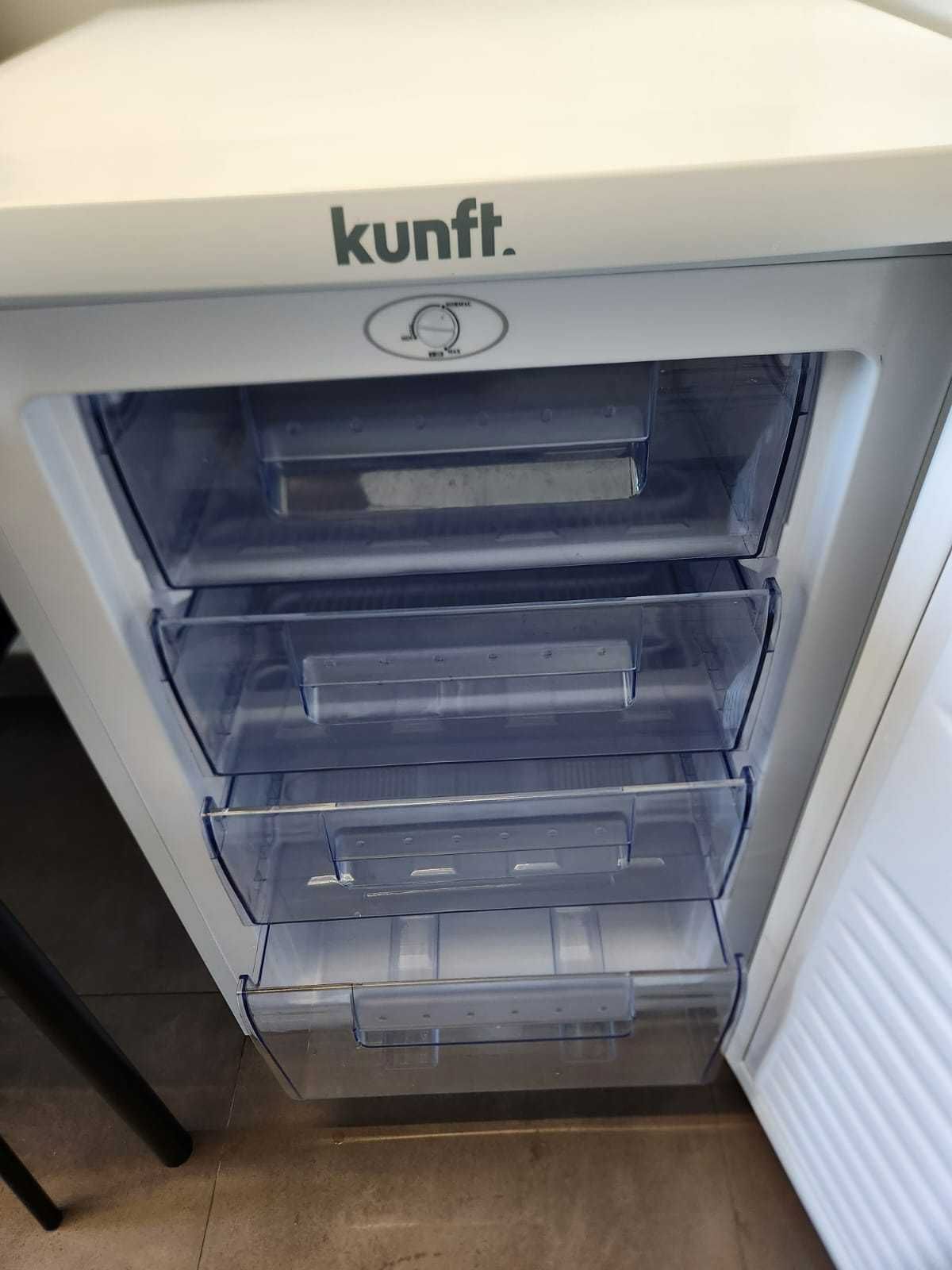 Freezer/Arca vertical Kunft